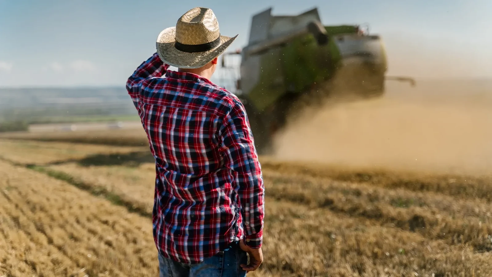 agricultura romaniei sub amenintarea unei pierderi de pana la 6 5 miliarde de euro subventiile ar putea scadea la jumatate