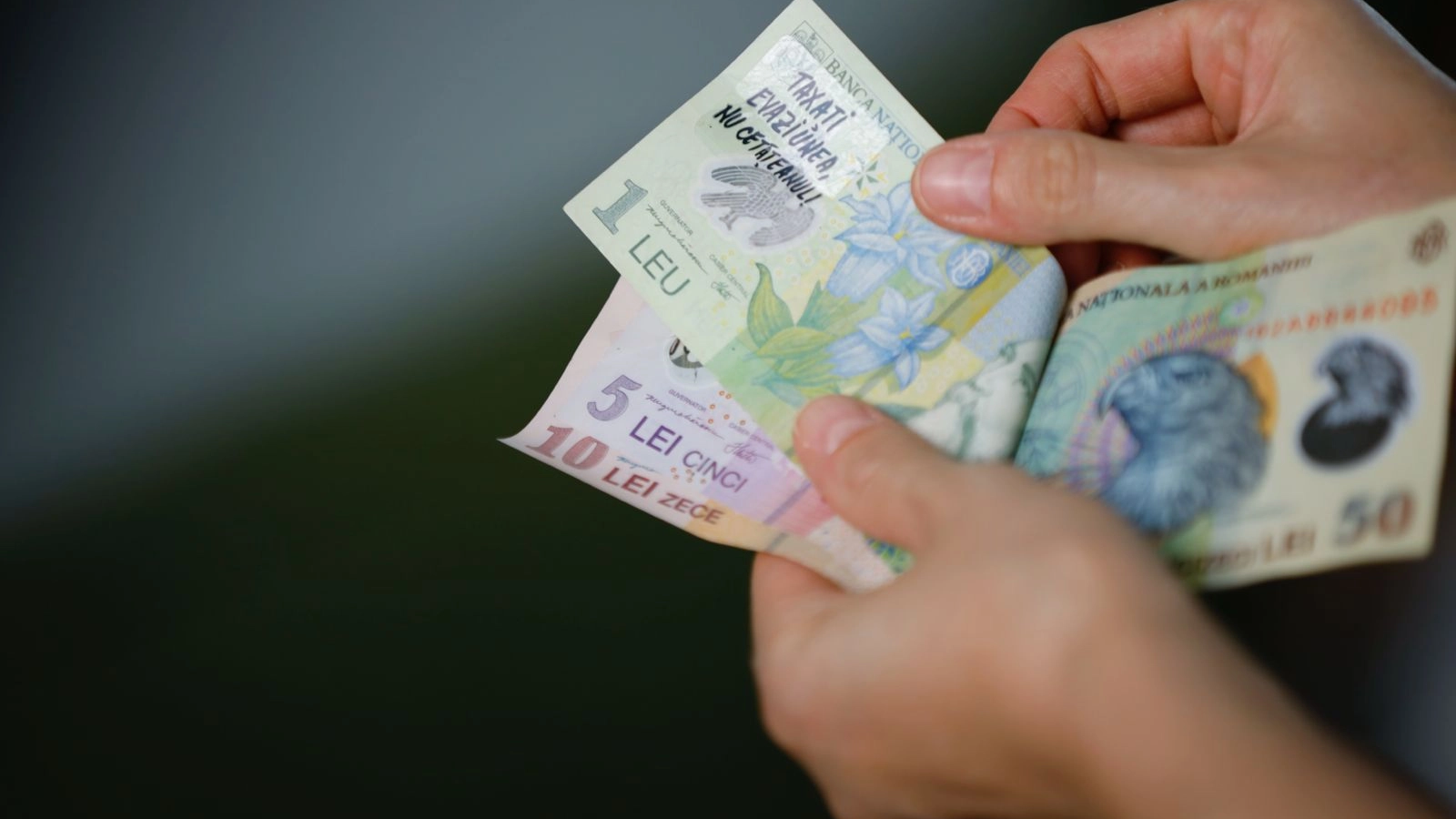 anpis a transferat peste doua miliarde de lei pentru beneficiile sociale din februarie