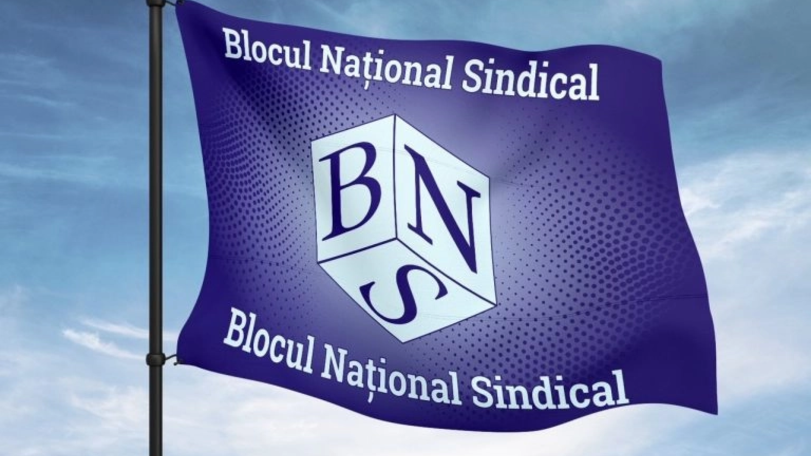 bns ataca oug privind carburantii statul speculeaza criza si paseaza costurile