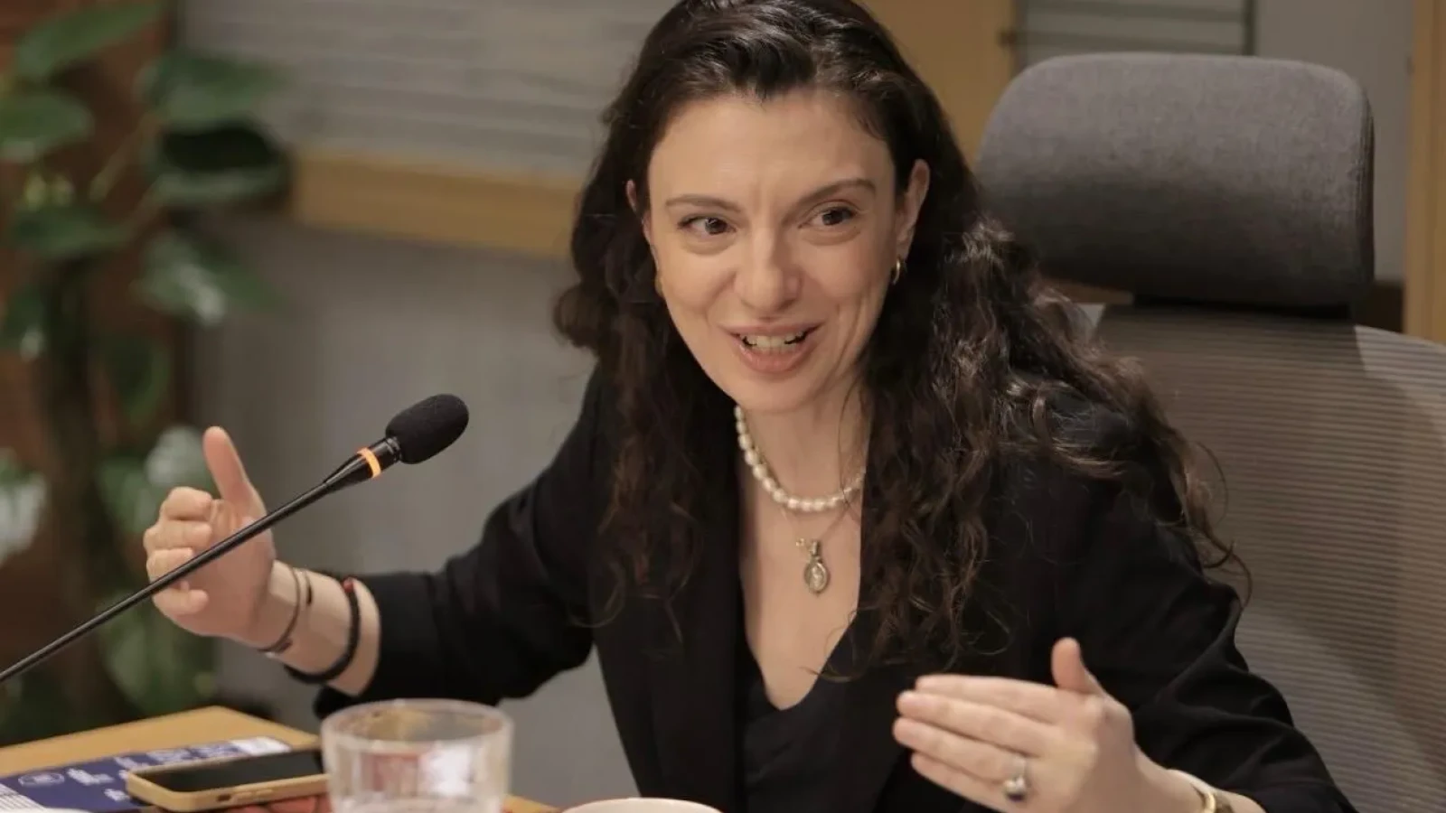 clara volintiru expertiza externa trebuie integrata in deciziile de politica externa ale romaniei