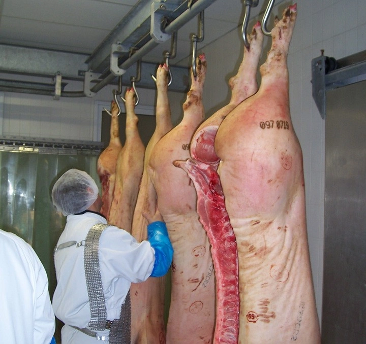 criza fermelor de porcine jumatate ar putea inchide pana in vara anului