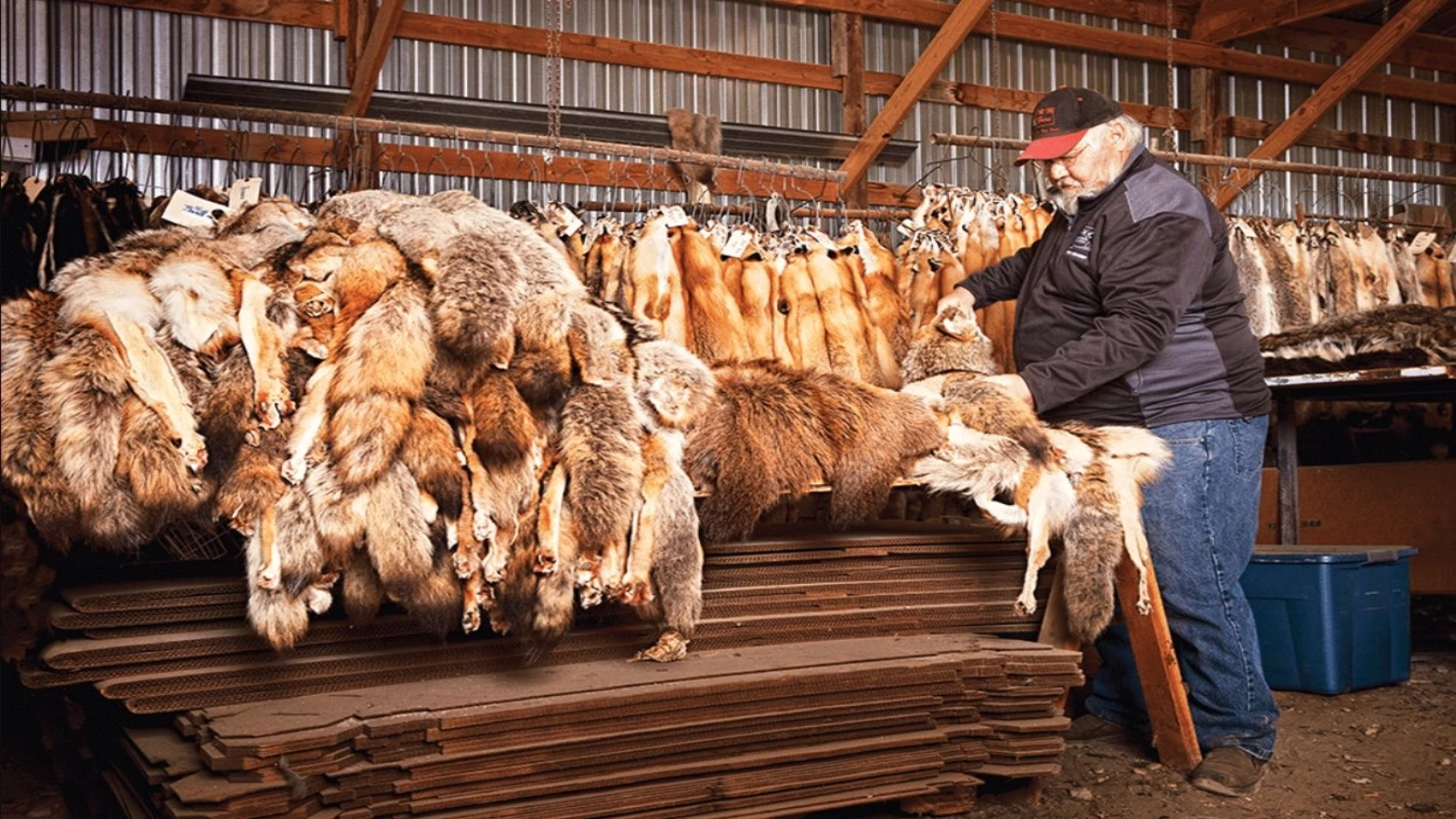 curtea de apel obliga guvernul sa restabileasca ajutorul de stat pentru cea mai mare fabrica europeana de lana gandita in romania