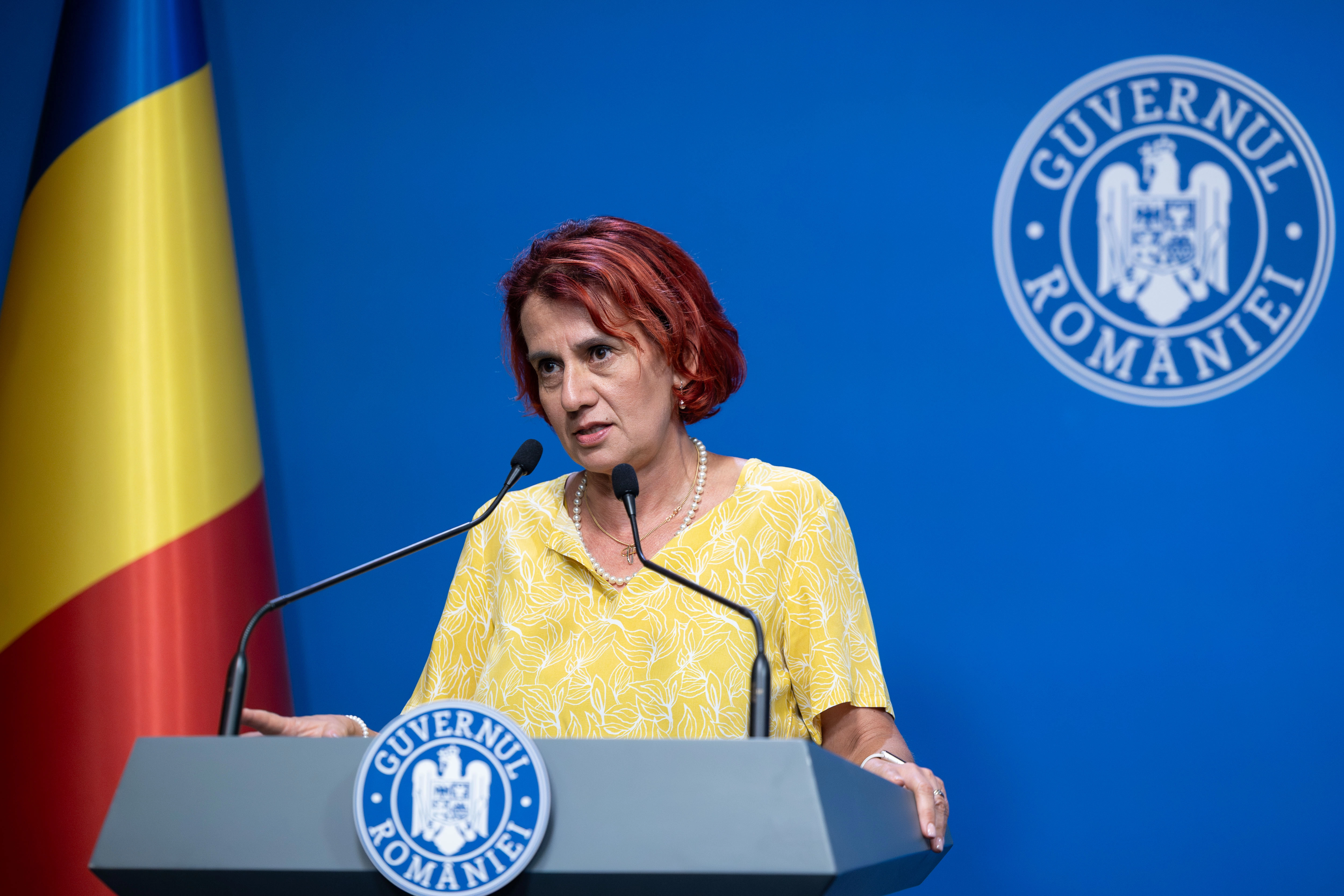 dogioiu respinge acuzatiile de presiune asupra ccr in numele premierului bolojan