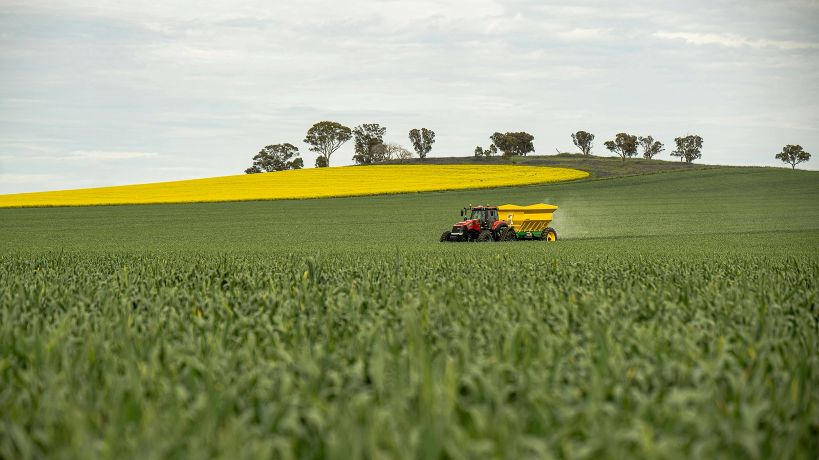 expert romania nu este amenintata de penurie alimentara fluctuatiile pietei sunt speculative