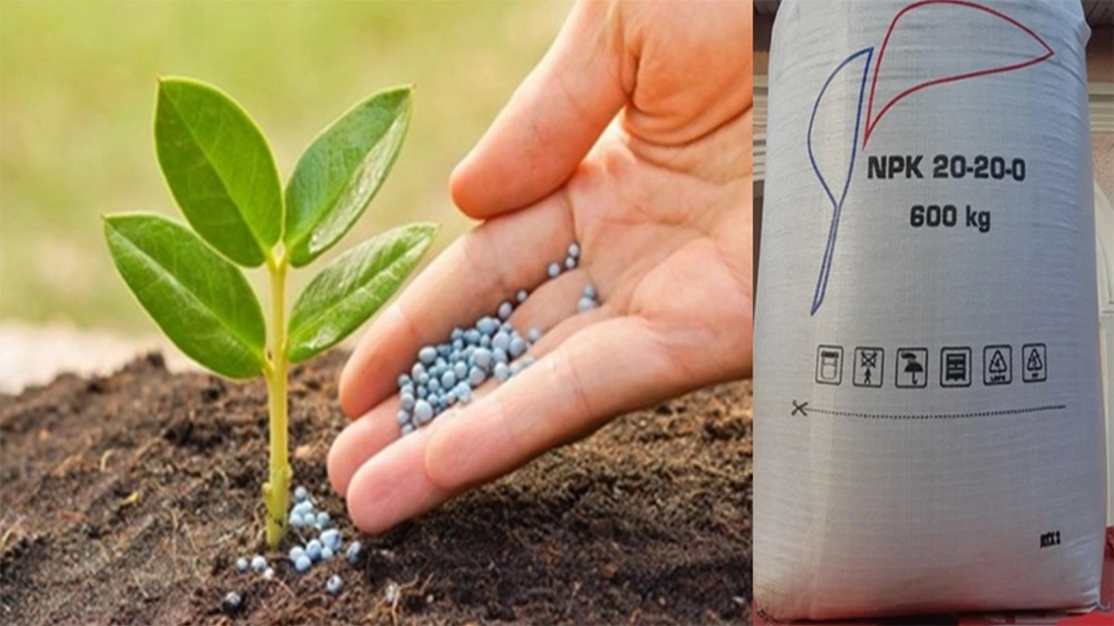 fer protect plant deschide la slobozia o fabrica de ingrasaminte chimice