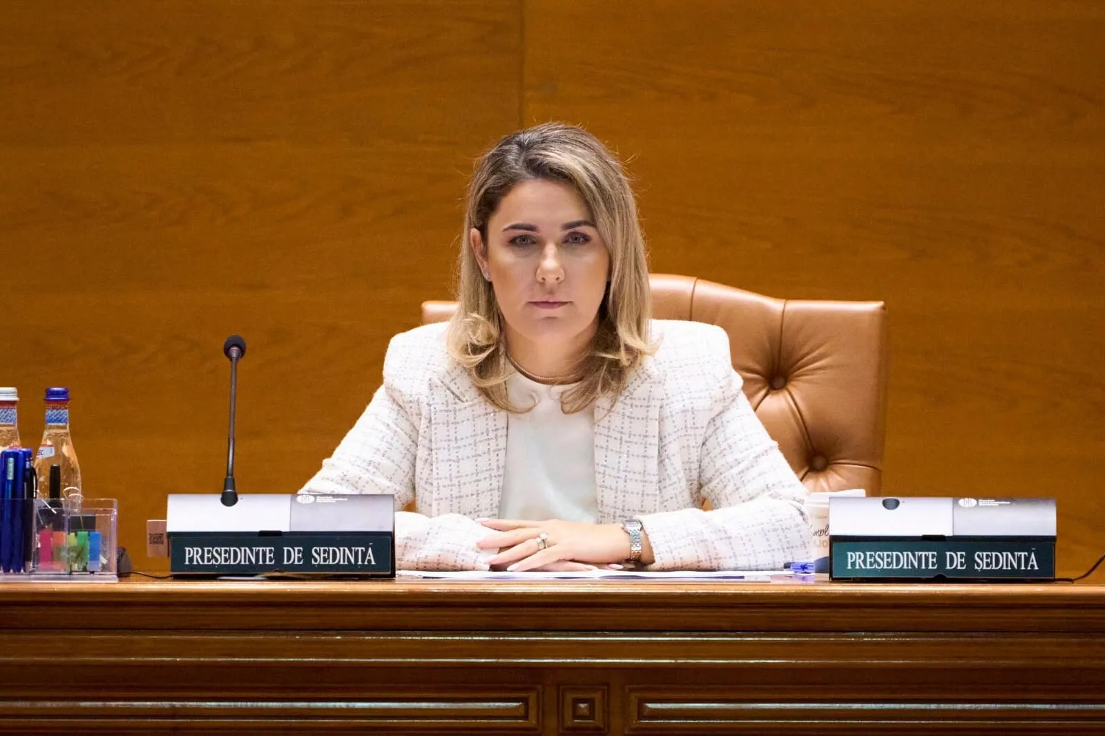 gianina serban aur solutia pentru stoparea evaziunii fiscale exista dar proiectul este blocat politic