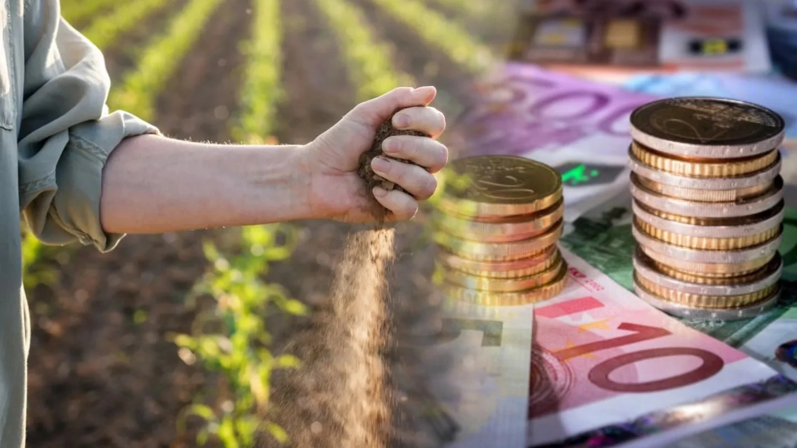 guvernul aproba 620 milioane lei pentru rambursarea accizei la motorina catre fermieri