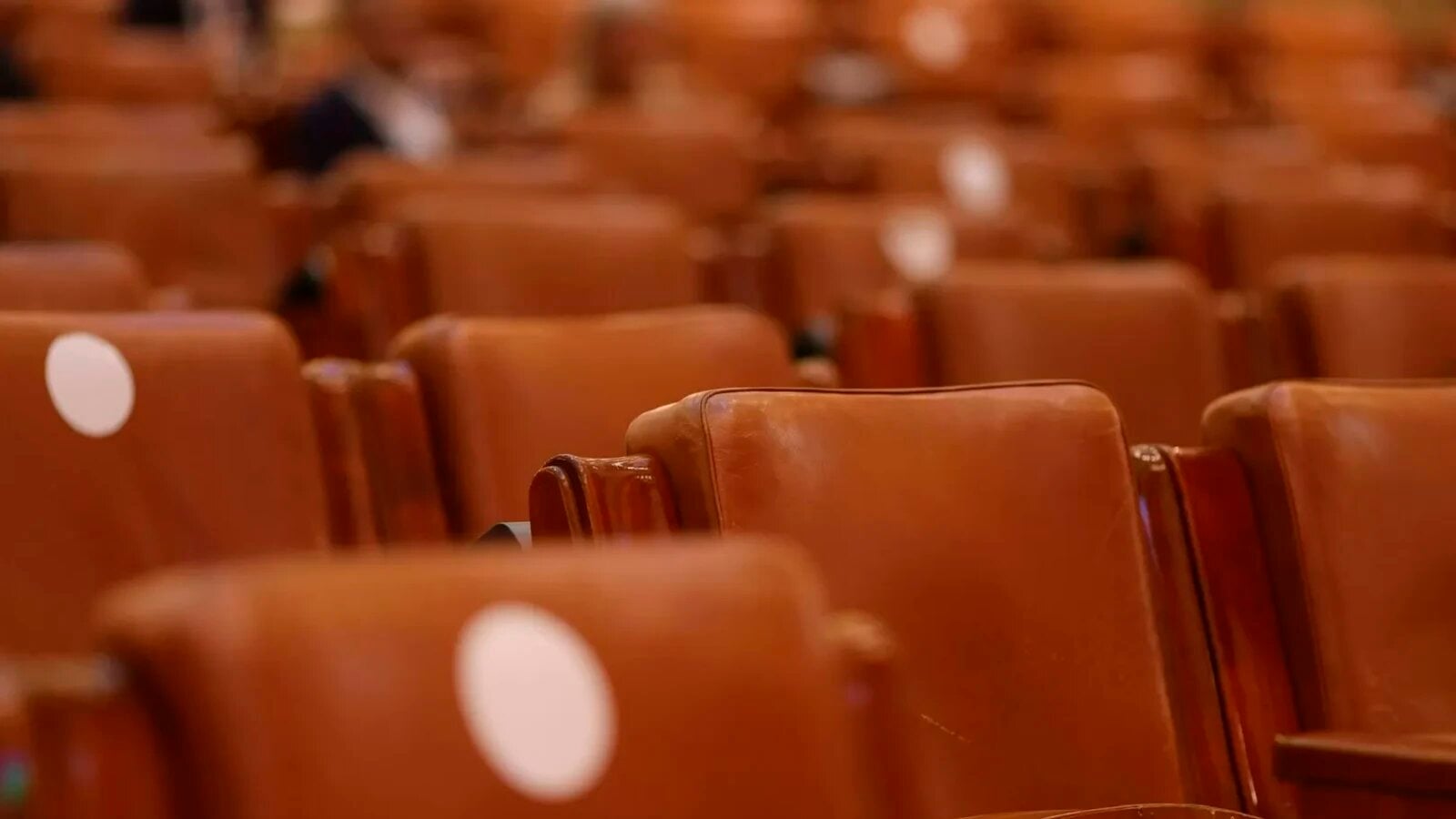 liberalii le solicita social democratilor sa sprijine un guvern pro european in timp ce ii critica aspru