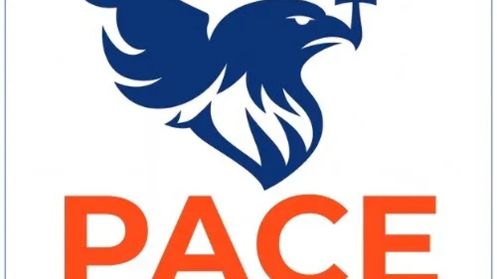 pace intai romania respinge bugetul pentru 2026 si ataca guvernul bolojan