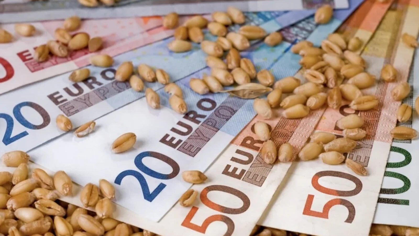 piata cerealelor sub presiune recolta globala scade sub nivelul record iar preturile explodeaza