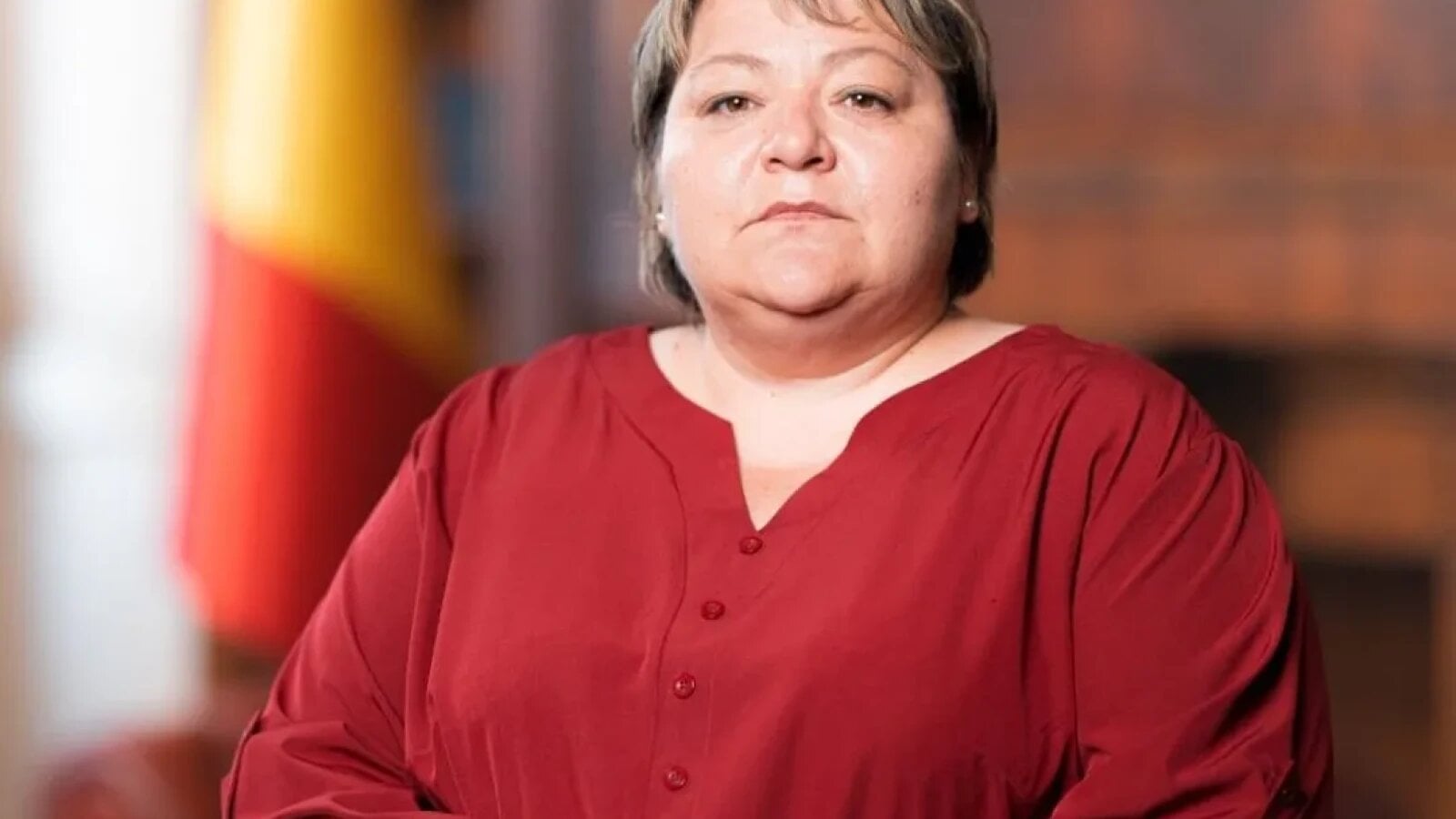 proiect aur initiat de ramona lovin pensiile romanilor care au cotizat in strainatate stabilite fara intarzieri birocratice