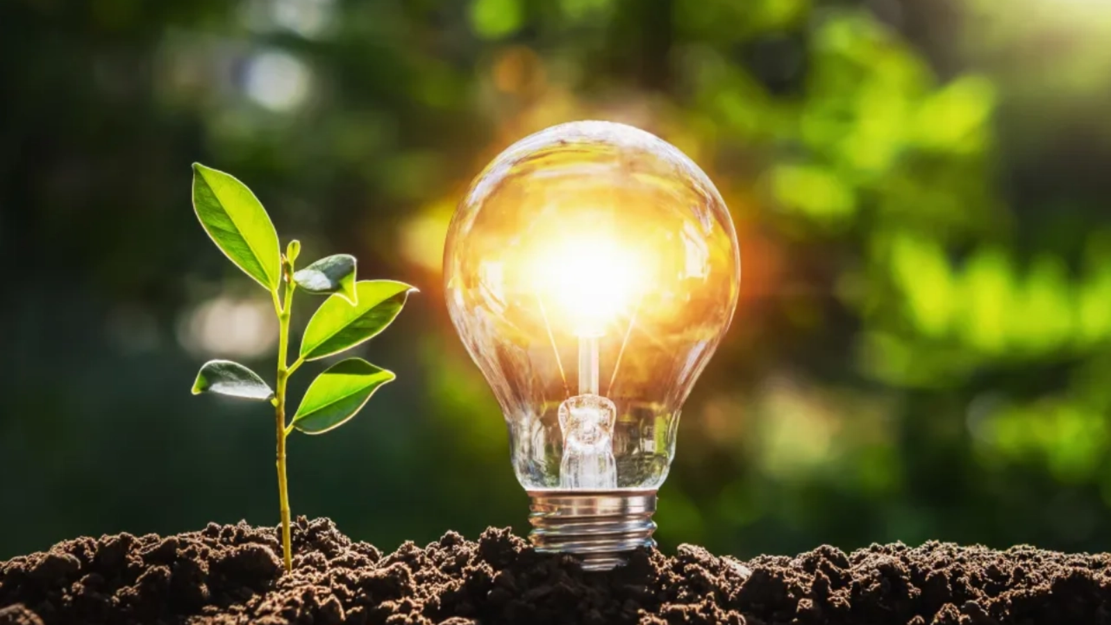 romania se apropie de pragul de 50 energie verde in timp ce ue consolideaza tranzitia catre surse regenerabile