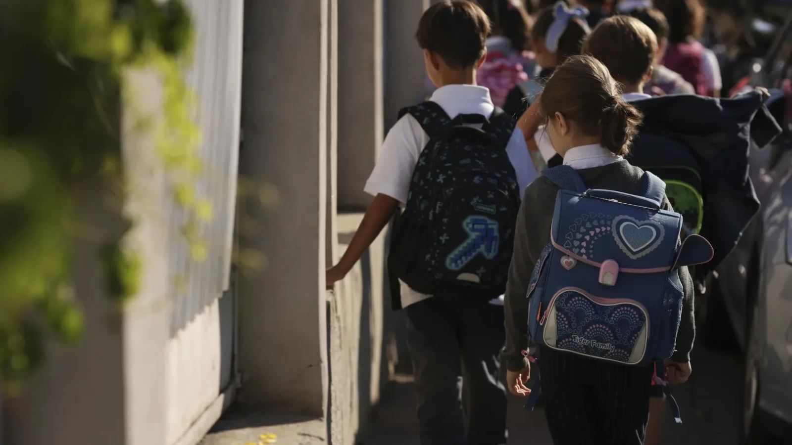 senatul modifica alocatia pentru copiii cu ces de la bani la masa calda sau pachet alimentar