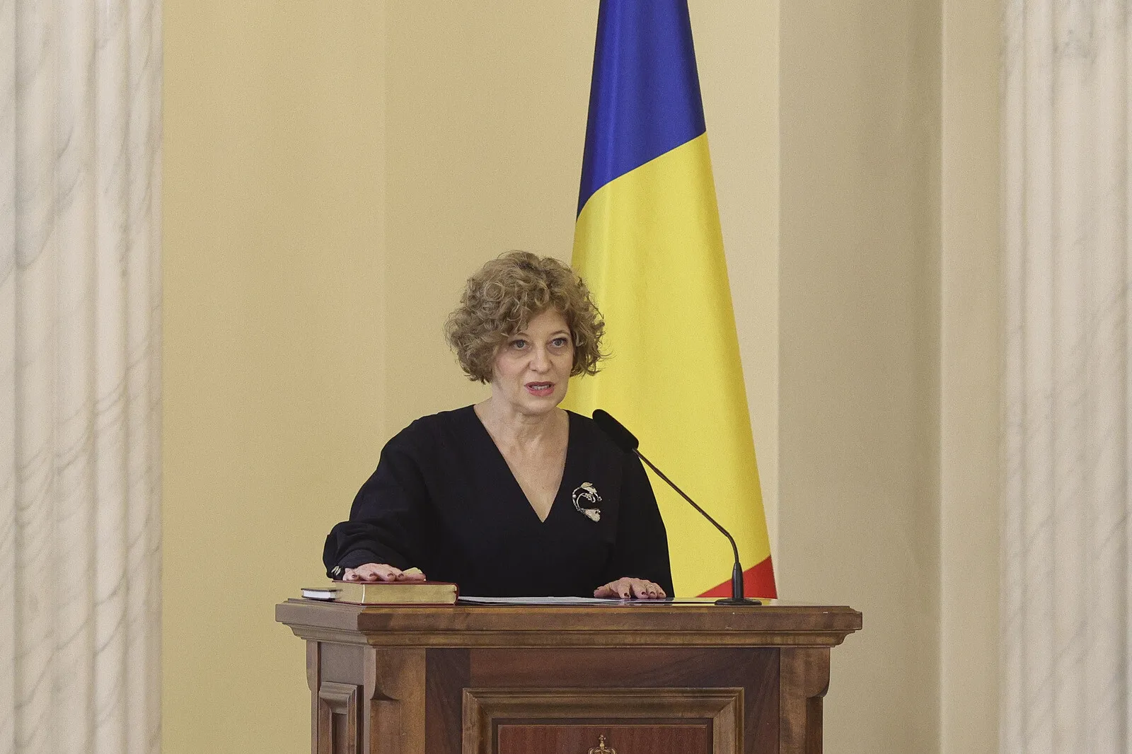 strategia de restructurare a companiilor de stat detaliata de oana gheorghiu