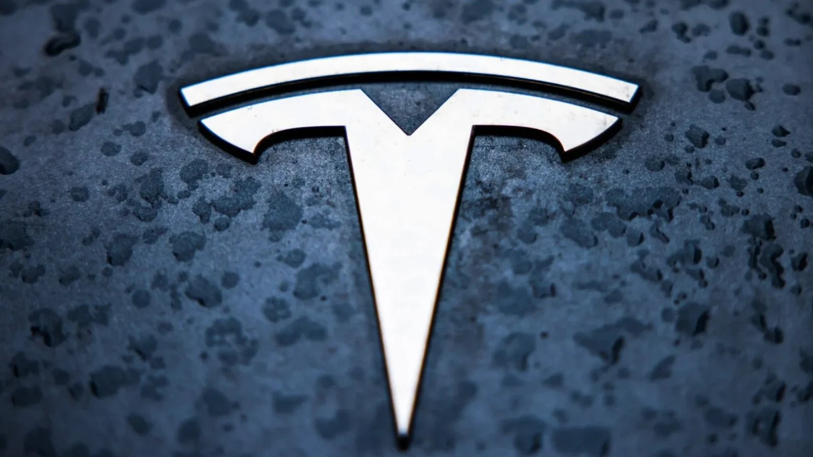 tesla lucreaza la un suv compact si mai accesibil potrivit surselor