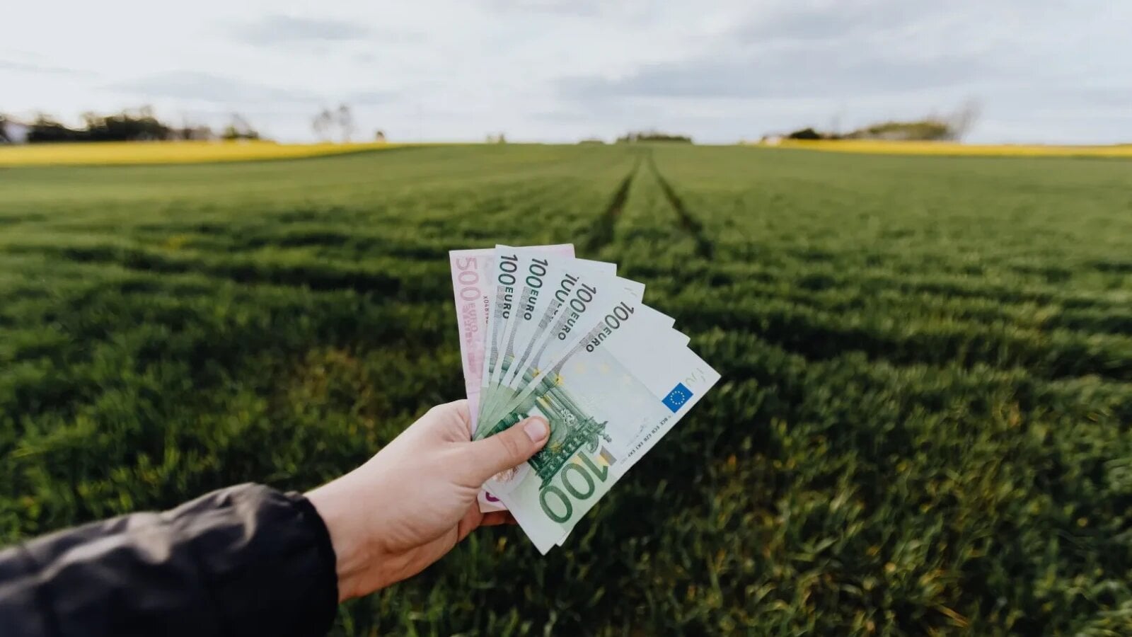 viitorul politicii agricole comune in dezbatere cum vor fi impartite subventiile dupa 2027