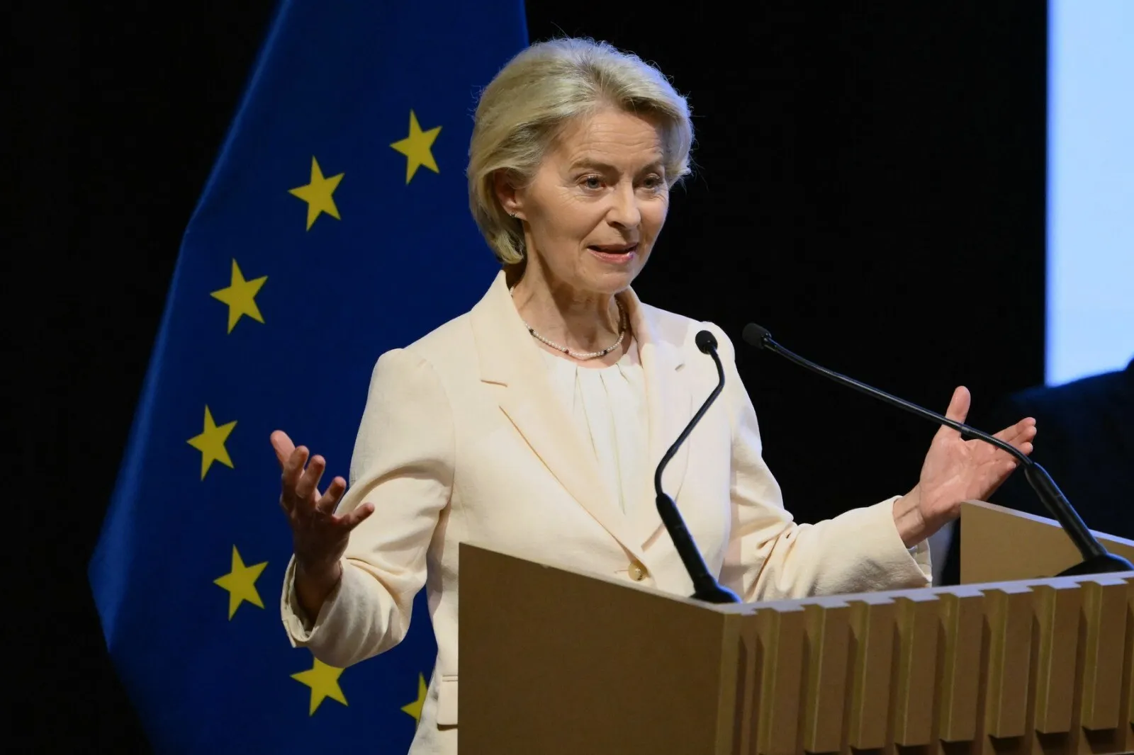 von der leyen impune aplicarea provizorie a acordului ue mercosur ignorand sesizarea parlamentului la cjue