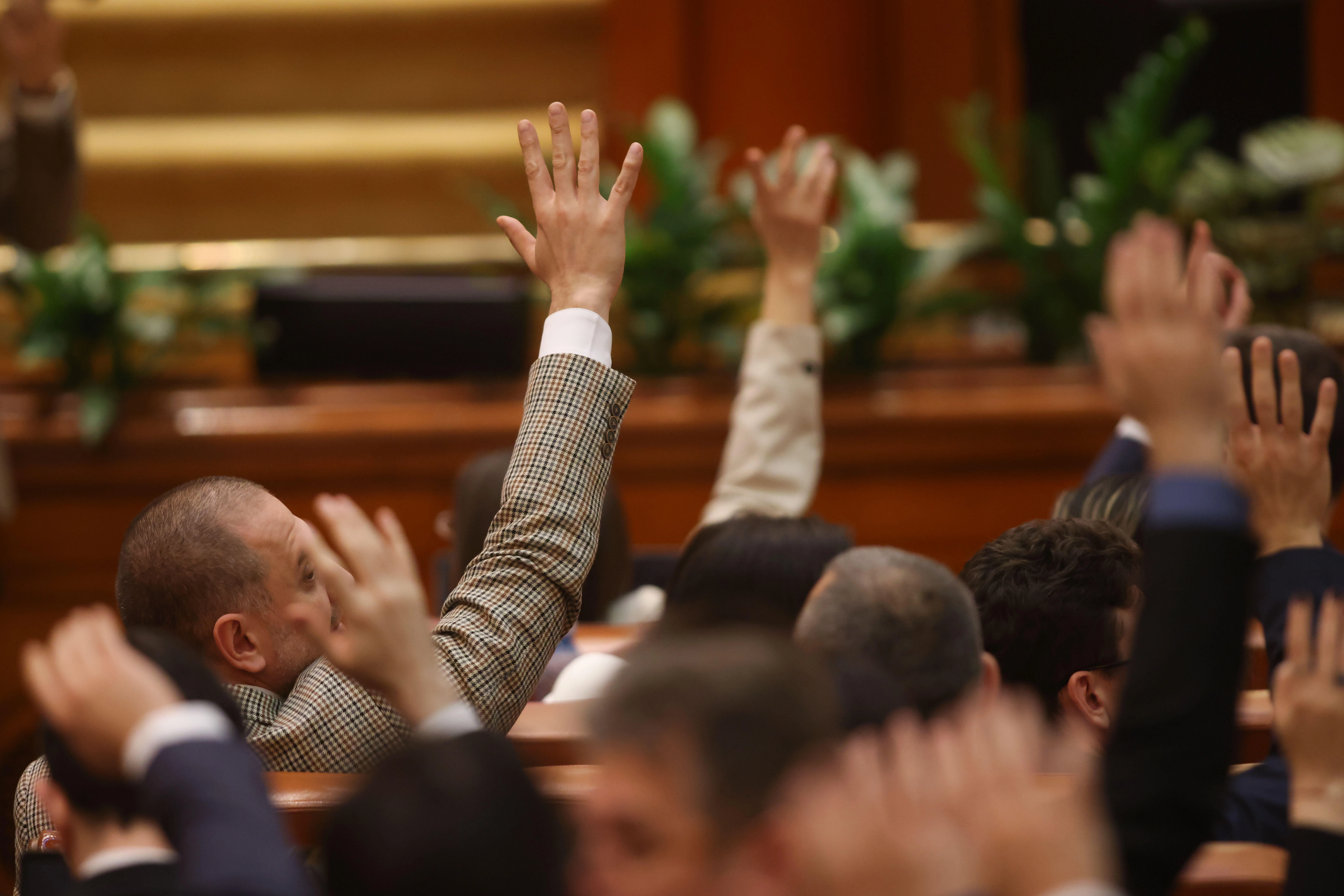 votul pentru armele americane in romania surprize in lista celor care s au opus au stat pe margine sau au lipsit